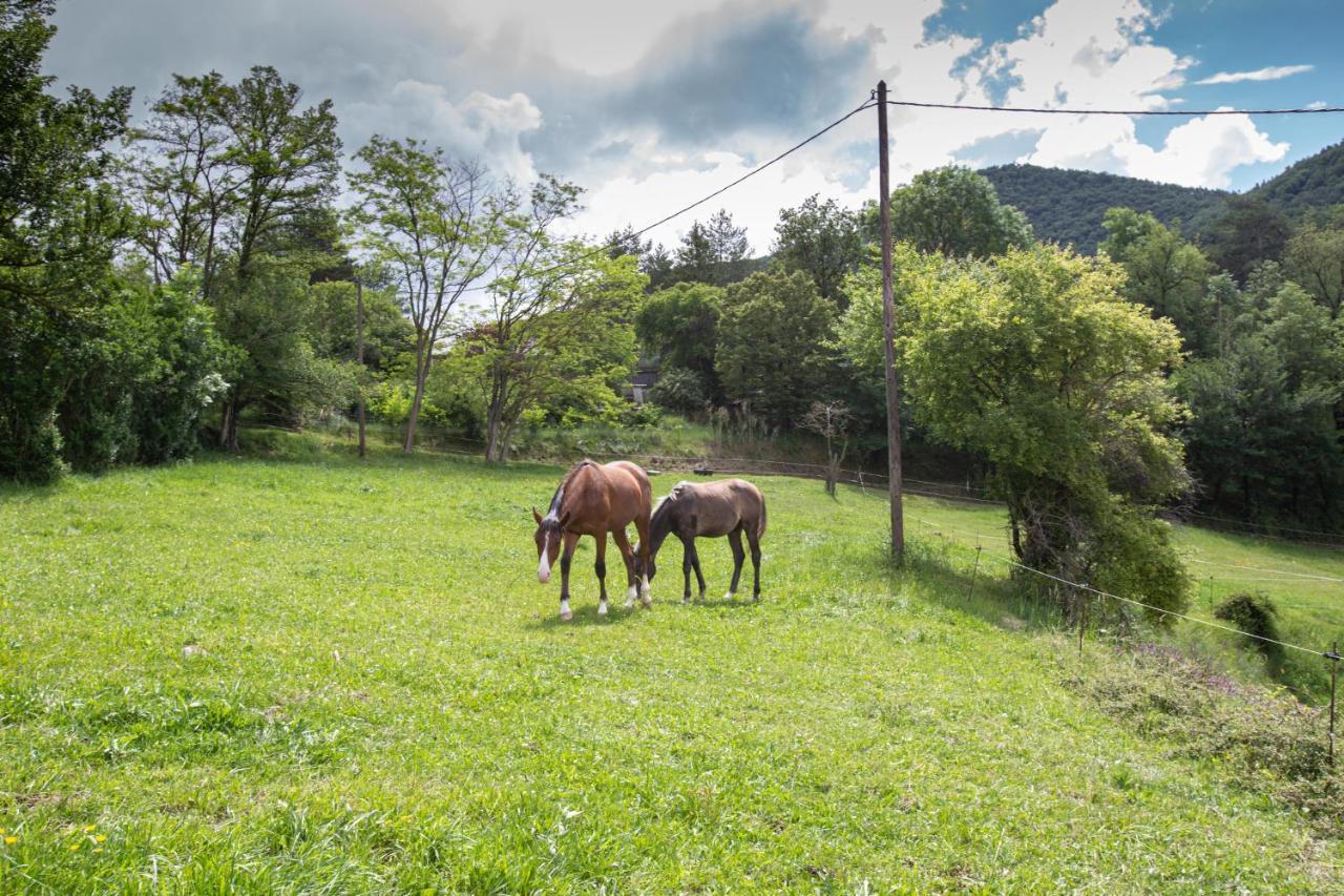 Vila L'Ado Ripoll Exteriér fotografie